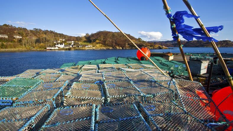 一场捕鱼引发的震荡:苏格兰欲“脱英入欧”,最快5月公投